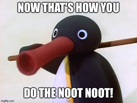 Noot Noot | NOW THAT'S HOW YOU; DO THE NOOT NOOT! | image tagged in noot noot | made w/ Imgflip meme maker
