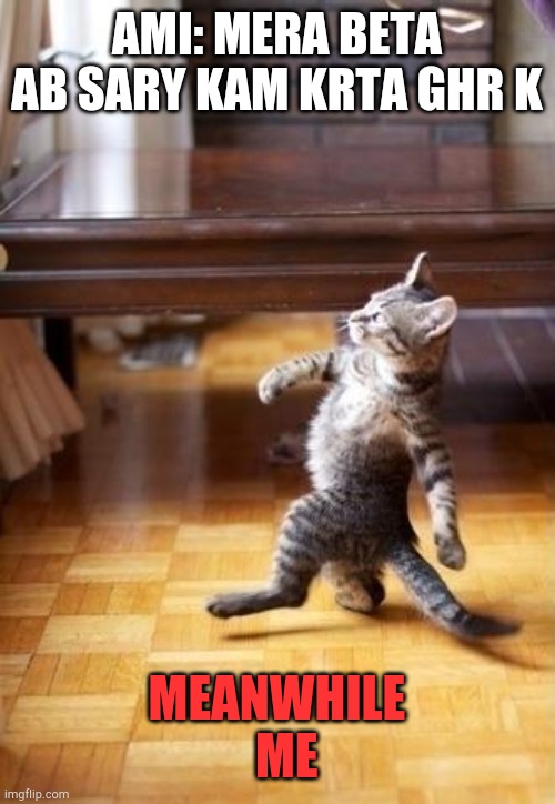 Cool Cat Stroll Meme | AMI: MERA BETA AB SARY KAM KRTA GHR K; MEANWHILE
  ME | image tagged in memes,cool cat stroll | made w/ Imgflip meme maker