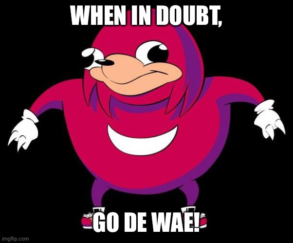 De Wae | WHEN IN DOUBT, GO DE WAE! | image tagged in de wae | made w/ Imgflip meme maker
