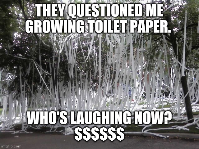 THEY QUESTIONED ME GROWING TOILET PAPER. WHO'S LAUGHING NOW?
$$$$$$ | image tagged in coronavirus,covid-19 | made w/ Imgflip meme maker