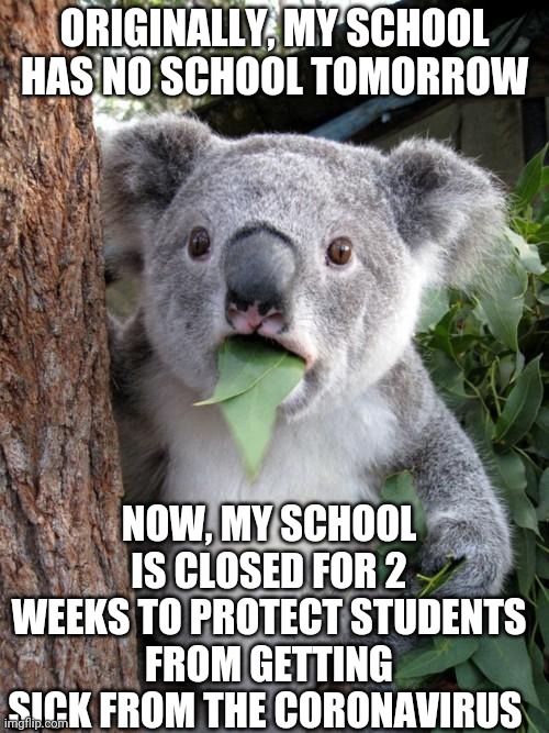 It Just Gets Crazier And Crazier (at least I got a 2 week break) | ORIGINALLY, MY SCHOOL HAS NO SCHOOL TOMORROW; NOW, MY SCHOOL IS CLOSED FOR 2 WEEKS TO PROTECT STUDENTS FROM GETTING SICK FROM THE CORONAVIRUS | image tagged in memes,surprised koala | made w/ Imgflip meme maker