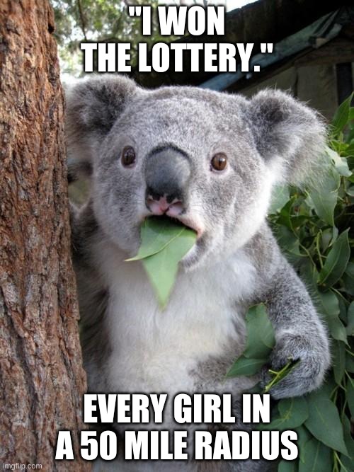 Surprised Koala Meme | "I WON THE LOTTERY."; EVERY GIRL IN A 50 MILE RADIUS | image tagged in memes,surprised koala | made w/ Imgflip meme maker