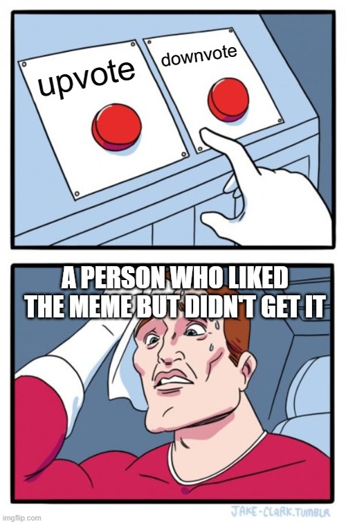 Two Buttons Meme | downvote; upvote; A PERSON WHO LIKED THE MEME BUT DIDN'T GET IT | image tagged in memes,two buttons | made w/ Imgflip meme maker