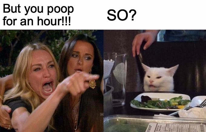 Woman Yelling At Cat Meme | But you poop for an hour!!! SO? | image tagged in memes,woman yelling at cat | made w/ Imgflip meme maker