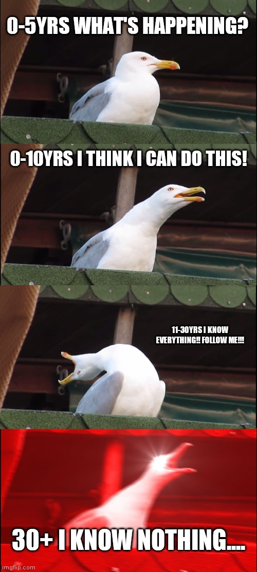 Inhaling Seagull Meme | 0-5YRS WHAT'S HAPPENING? 0-10YRS I THINK I CAN DO THIS! 11-30YRS I KNOW EVERYTHING!! FOLLOW ME!!! 30+ I KNOW NOTHING.... | image tagged in memes,inhaling seagull | made w/ Imgflip meme maker