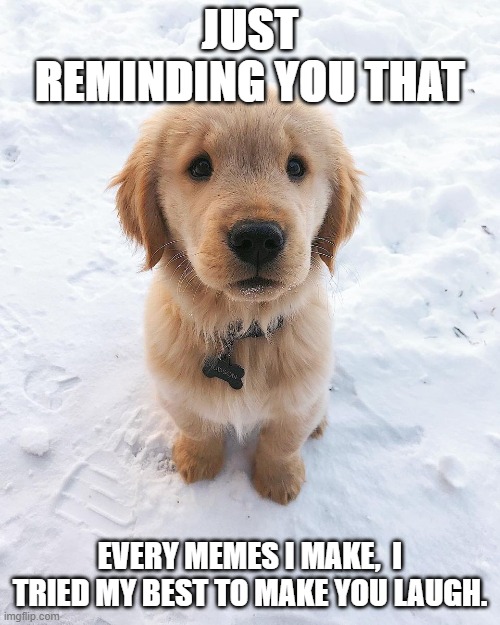 JUST REMINDING YOU THAT; EVERY MEMES I MAKE,  I TRIED MY BEST TO MAKE YOU LAUGH. | image tagged in sad dog | made w/ Imgflip meme maker