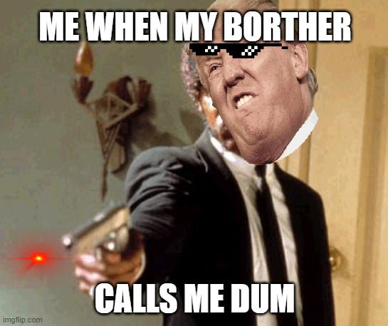 Say That Again I Dare You | ME WHEN MY BORTHER; CALLS ME DUM | image tagged in memes,say that again i dare you | made w/ Imgflip meme maker