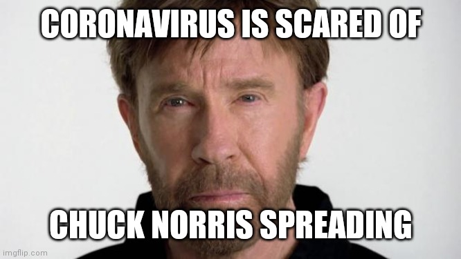 Chuck Norris | CORONAVIRUS IS SCARED OF; CHUCK NORRIS SPREADING | image tagged in chuck norris | made w/ Imgflip meme maker