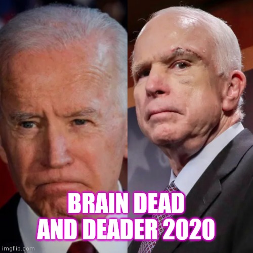 Biden McCain | BRAIN DEAD AND DEADER 2020 | image tagged in biden mccain | made w/ Imgflip meme maker