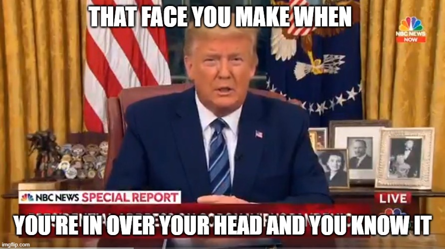 President Very Stable Best Brain | THAT FACE YOU MAKE WHEN; YOU'RE IN OVER YOUR HEAD AND YOU KNOW IT | image tagged in donald trump is an idiot | made w/ Imgflip meme maker