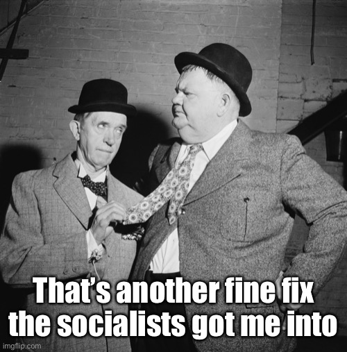 Laurel and Hardy | That’s another fine fix the socialists got me into | image tagged in laurel and hardy | made w/ Imgflip meme maker