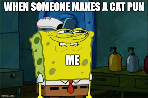 Don't You Squidward Meme | WHEN SOMEONE MAKES A CAT PUN; ME | image tagged in memes,dont you squidward,cats | made w/ Imgflip meme maker