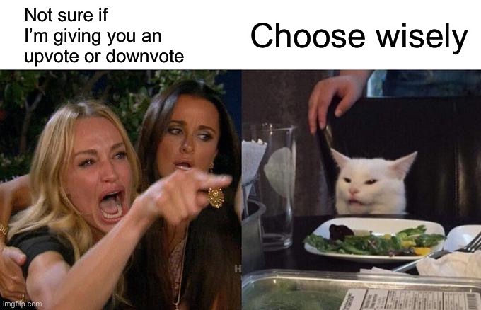Woman Yelling At Cat Meme | Not sure if I’m giving you an upvote or downvote Choose wisely | image tagged in memes,woman yelling at cat | made w/ Imgflip meme maker