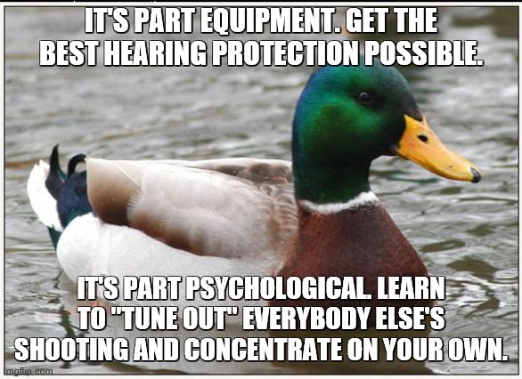 Actual Advice Mallard Meme | IT'S PART EQUIPMENT. GET THE BEST HEARING PROTECTION POSSIBLE. IT'S PART PSYCHOLOGICAL. LEARN TO "TUNE OUT" EVERYBODY ELSE'S SHOOTING AND CO | image tagged in memes,actual advice mallard | made w/ Imgflip meme maker