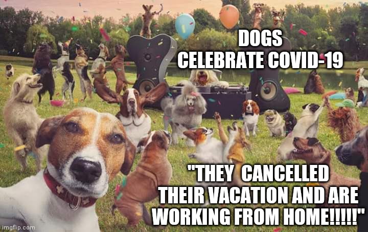 Dogs celebrate | DOGS CELEBRATE COVID-19; "THEY  CANCELLED THEIR VACATION AND ARE WORKING FROM HOME!!!!!" | image tagged in dogs celebrate | made w/ Imgflip meme maker