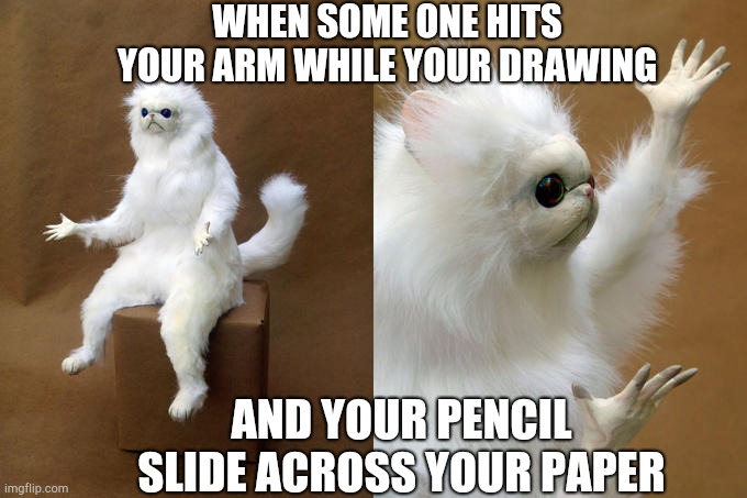 Persian Cat Room Guardian Meme | WHEN SOME ONE HITS YOUR ARM WHILE YOUR DRAWING; AND YOUR PENCIL SLIDE ACROSS YOUR PAPER | image tagged in memes,persian cat room guardian | made w/ Imgflip meme maker