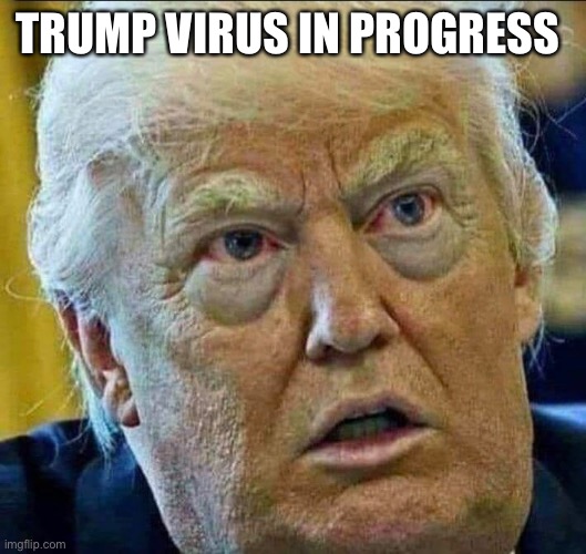 Trump Virus In Progress | TRUMP VIRUS IN PROGRESS | image tagged in donald trump,trump virus,pandemic,coronavirus,morons for trump | made w/ Imgflip meme maker