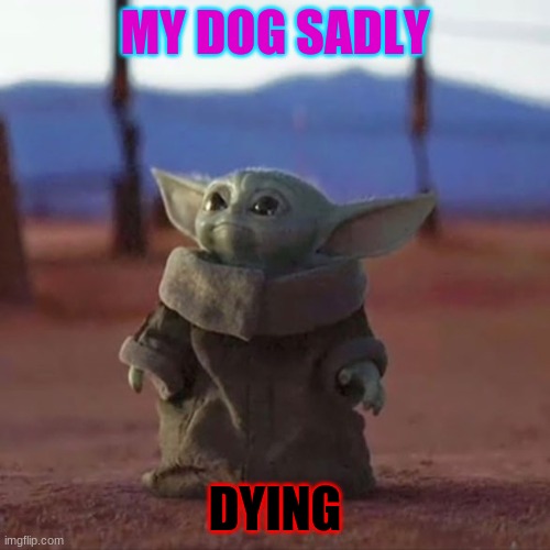 Baby Yoda | MY DOG SADLY; DYING | image tagged in baby yoda | made w/ Imgflip meme maker