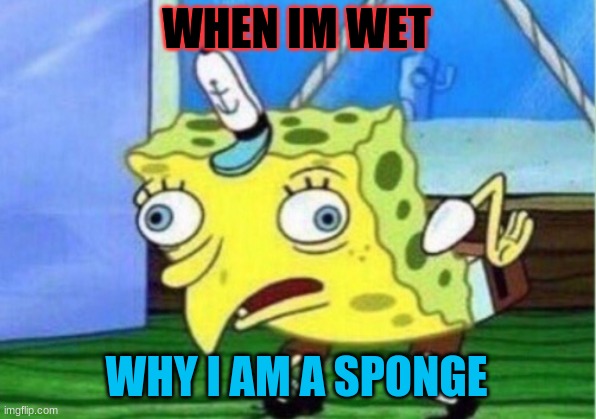 Mocking Spongebob Meme | WHEN IM WET WHY I AM A SPONGE | image tagged in memes,mocking spongebob | made w/ Imgflip meme maker
