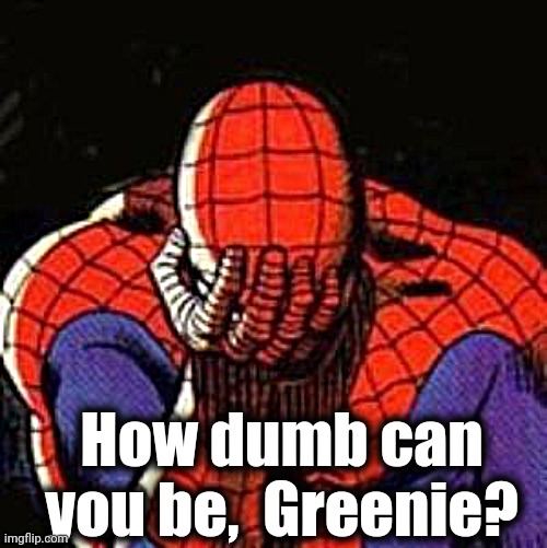 Sad Spiderman Meme | How dumb can you be,  Greenie? | image tagged in memes,sad spiderman,spiderman | made w/ Imgflip meme maker