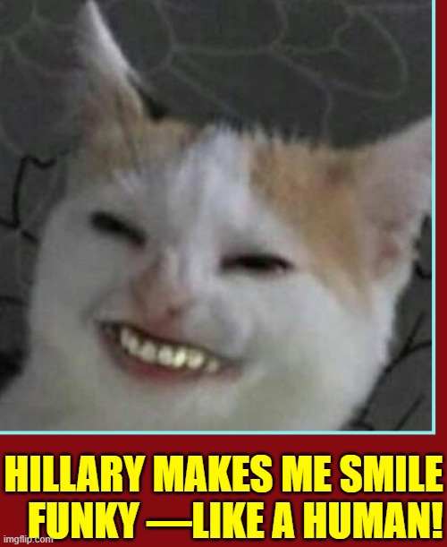 Me Hearing Hillary Might Be Vice President Nominee | HILLARY MAKES ME SMILE    FUNKY —LIKE A HUMAN! | image tagged in vince vance,cats,smiling,hillary clinton,vice president,human teeth | made w/ Imgflip meme maker