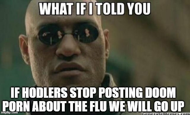 What If I Told You.... | IF HODLERS STOP POSTING DOOM PORN ABOUT THE FLU WE WILL GO UP | image tagged in what if i told you | made w/ Imgflip meme maker