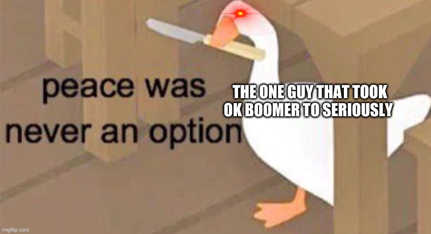 Untitled Goose Peace Was Never an Option | THE ONE GUY THAT TOOK OK BOOMER TO SERIOUSLY | image tagged in untitled goose peace was never an option | made w/ Imgflip meme maker