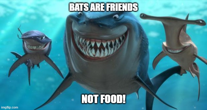 Fish are friends not food | BATS ARE FRIENDS; NOT FOOD! | image tagged in fish are friends not food | made w/ Imgflip meme maker