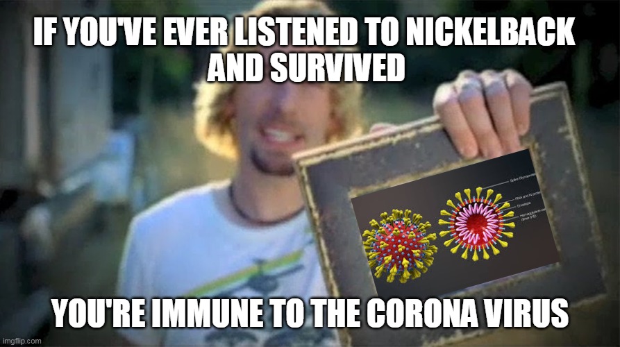 Look At This Photograph | IF YOU'VE EVER LISTENED TO NICKELBACK 
AND SURVIVED; YOU'RE IMMUNE TO THE CORONA VIRUS | image tagged in look at this photograph | made w/ Imgflip meme maker
