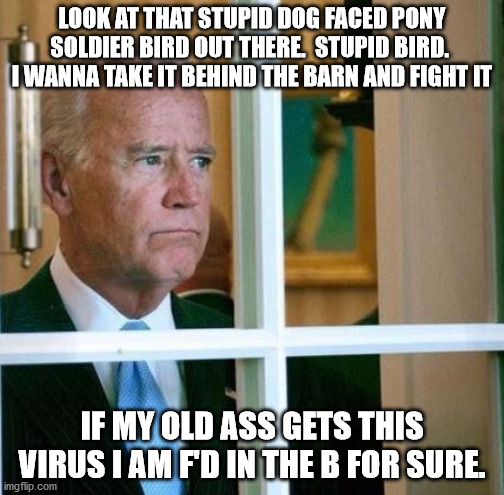 Sad Joe Biden | LOOK AT THAT STUPID DOG FACED PONY SOLDIER BIRD OUT THERE.  STUPID BIRD.  I WANNA TAKE IT BEHIND THE BARN AND FIGHT IT; IF MY OLD ASS GETS THIS VIRUS I AM F'D IN THE B FOR SURE. | image tagged in sad joe biden | made w/ Imgflip meme maker