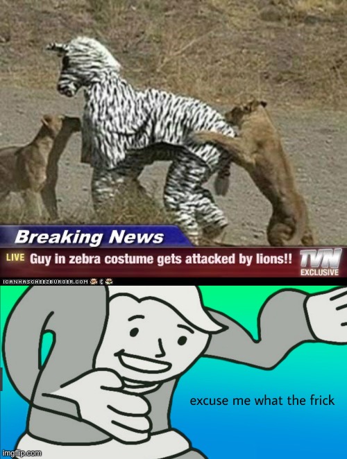 Why????? | image tagged in fallout guy,animals,sad,dumb people,what the heck,funny memes | made w/ Imgflip meme maker