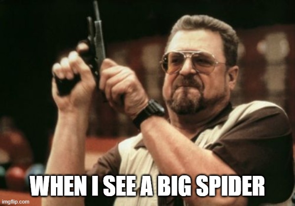 Am I The Only One Around Here Meme | WHEN I SEE A BIG SPIDER | image tagged in memes,am i the only one around here | made w/ Imgflip meme maker