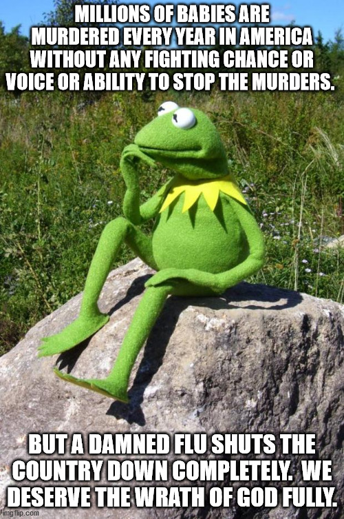 Kermit-thinking | MILLIONS OF BABIES ARE MURDERED EVERY YEAR IN AMERICA WITHOUT ANY FIGHTING CHANCE OR VOICE OR ABILITY TO STOP THE MURDERS. BUT A DAMNED FLU SHUTS THE COUNTRY DOWN COMPLETELY.  WE DESERVE THE WRATH OF GOD FULLY. | image tagged in kermit-thinking | made w/ Imgflip meme maker