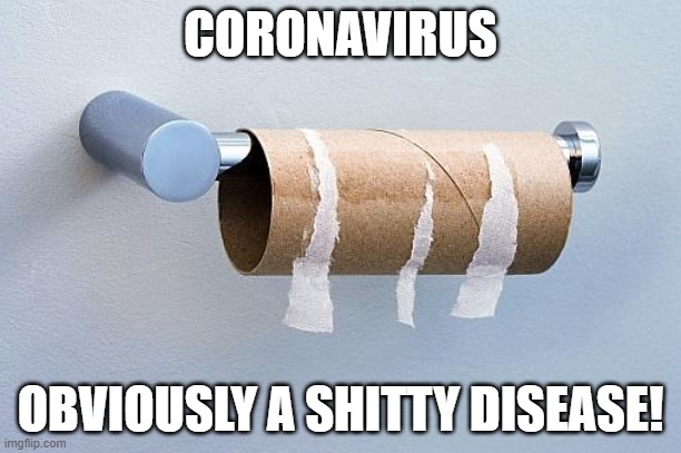 Toilet Paper | CORONAVIRUS; OBVIOUSLY A SHITTY DISEASE! | image tagged in no more toilet paper,coronavirus,poop,funny memes,sick,toilet paper | made w/ Imgflip meme maker