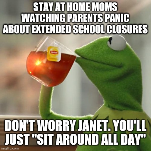 But That's None Of My Business | STAY AT HOME MOMS WATCHING PARENTS PANIC ABOUT EXTENDED SCHOOL CLOSURES; DON'T WORRY JANET. YOU'LL JUST "SIT AROUND ALL DAY" | image tagged in memes,but thats none of my business,kermit the frog | made w/ Imgflip meme maker
