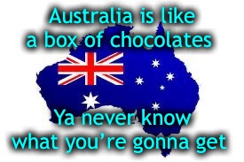 australia | Australia is like a box of chocolates Ya never know what you’re gonna get | image tagged in australia | made w/ Imgflip meme maker