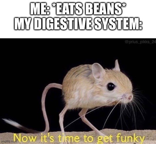 ME: *EATS BEANS*
MY DIGESTIVE SYSTEM: | image tagged in blank white template,now its time to get funky | made w/ Imgflip meme maker
