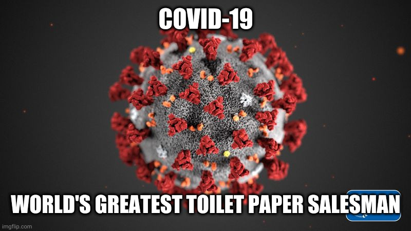 Ain't none nowhere... | COVID-19; WORLD'S GREATEST TOILET PAPER SALESMAN | image tagged in covid 19,toilet paper crisis,pandemic,stock market | made w/ Imgflip meme maker