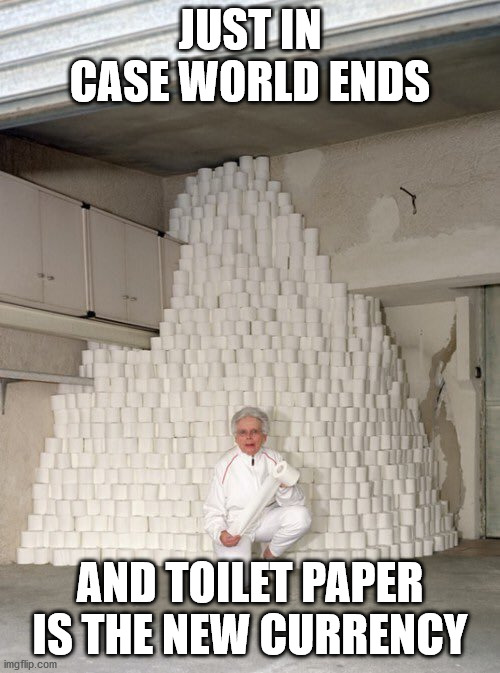 mountain of toilet paper | JUST IN CASE WORLD ENDS; AND TOILET PAPER IS THE NEW CURRENCY | image tagged in mountain of toilet paper | made w/ Imgflip meme maker