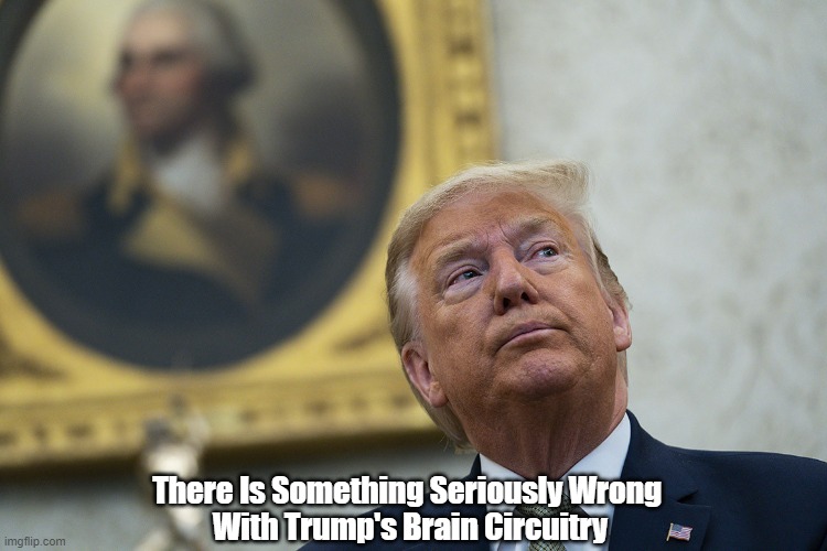 There Is Something Seriously Wrong 
With Trump's Brain Circuitry | made w/ Imgflip meme maker