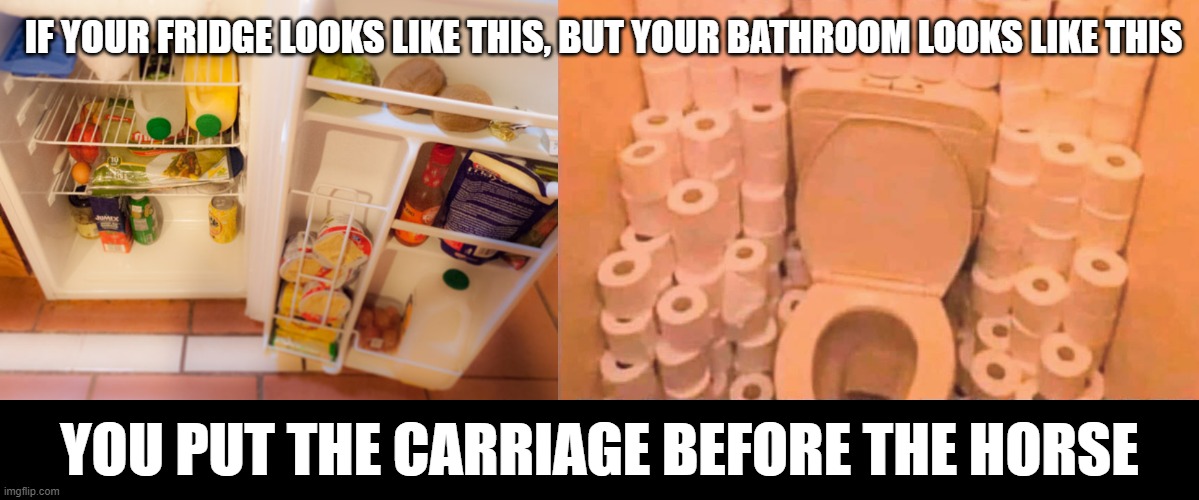 Toilet Paper Crisis | IF YOUR FRIDGE LOOKS LIKE THIS, BUT YOUR BATHROOM LOOKS LIKE THIS; YOU PUT THE CARRIAGE BEFORE THE HORSE | image tagged in no more toilet paper,coronavirus,first world problems,deadass,no patrick | made w/ Imgflip meme maker