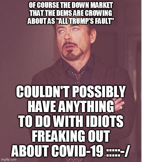 Face You Make Robert Downey Jr Meme | OF COURSE THE DOWN MARKET THAT THE DEMS ARE CROWING ABOUT AS "ALL TRUMP'S FAULT" COULDN'T POSSIBLY HAVE ANYTHING TO DO WITH IDIOTS FREAKING  | image tagged in memes,face you make robert downey jr | made w/ Imgflip meme maker