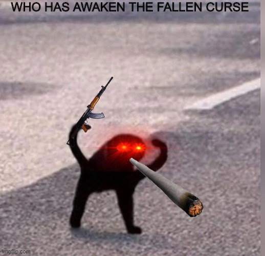 Cursed Cat | WHO HAS AWAKEN THE FALLEN CURSE | image tagged in cursed cat | made w/ Imgflip meme maker