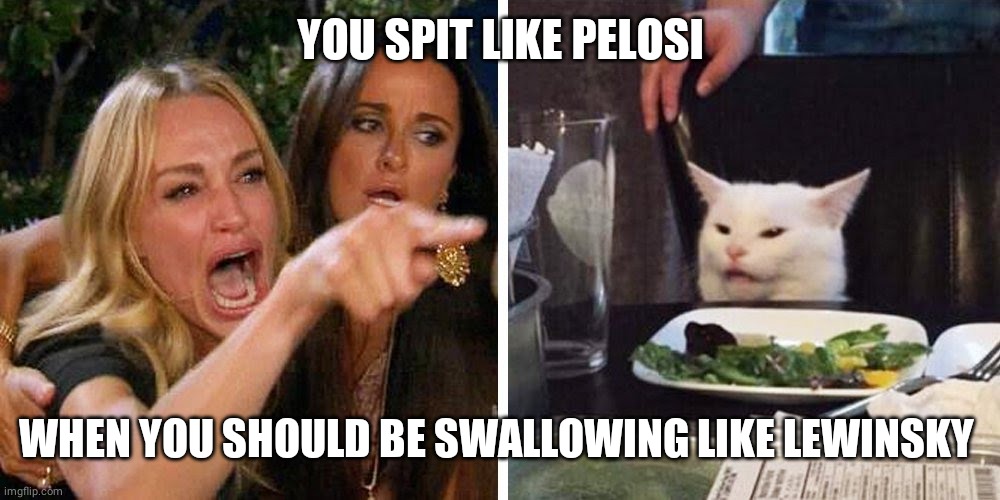 Smudge the cat | YOU SPIT LIKE PELOSI; WHEN YOU SHOULD BE SWALLOWING LIKE LEWINSKY | image tagged in smudge the cat | made w/ Imgflip meme maker