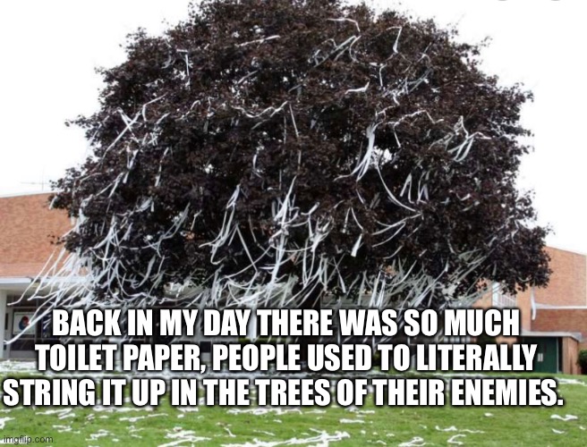 Toilet paper | BACK IN MY DAY THERE WAS SO MUCH TOILET PAPER, PEOPLE USED TO LITERALLY STRING IT UP IN THE TREES OF THEIR ENEMIES. | image tagged in toilet paper,no more toilet paper,coronavirus | made w/ Imgflip meme maker