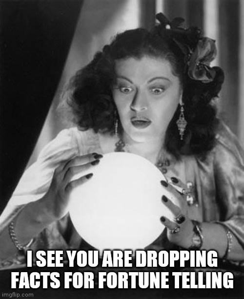 fortune teller | I SEE YOU ARE DROPPING FACTS FOR FORTUNE TELLING | image tagged in fortune teller | made w/ Imgflip meme maker