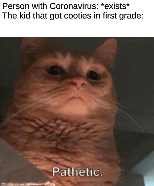 Pathetic Cat | Person with Coronavirus: *exists*
The kid that got cooties in first grade: | image tagged in pathetic cat | made w/ Imgflip meme maker