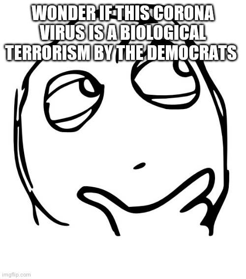wondering blank | WONDER IF THIS CORONA VIRUS IS A BIOLOGICAL TERRORISM BY THE DEMOCRATS | image tagged in wondering blank | made w/ Imgflip meme maker