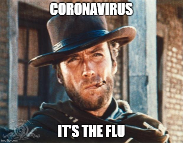 Clint Eastwood | CORONAVIRUS; IT'S THE FLU | image tagged in clint eastwood | made w/ Imgflip meme maker