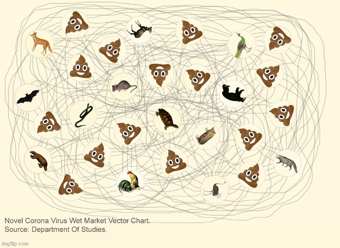 CORONA VIRUS WET MARKET VECTOR CHART | image tagged in corona virus wet market vector chart | made w/ Imgflip meme maker